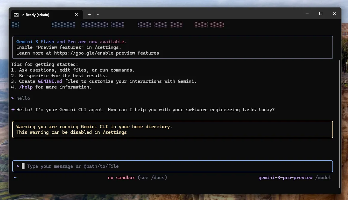 Gemini CLI 运行示例